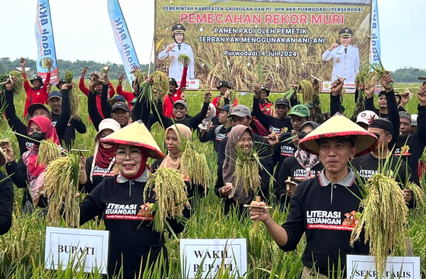 Panen Padi Gunakan Ani-ani, Pemkab Grobogan Pecahkan Rekor MURI